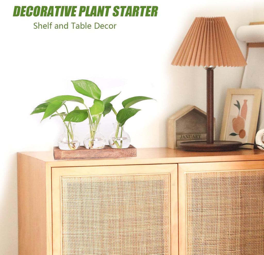 Plant Propagation Station, Plants Terrarium with Wooden Stand Bulb Glass Vase Planter Gift for Plant Lovers Home Office Decor