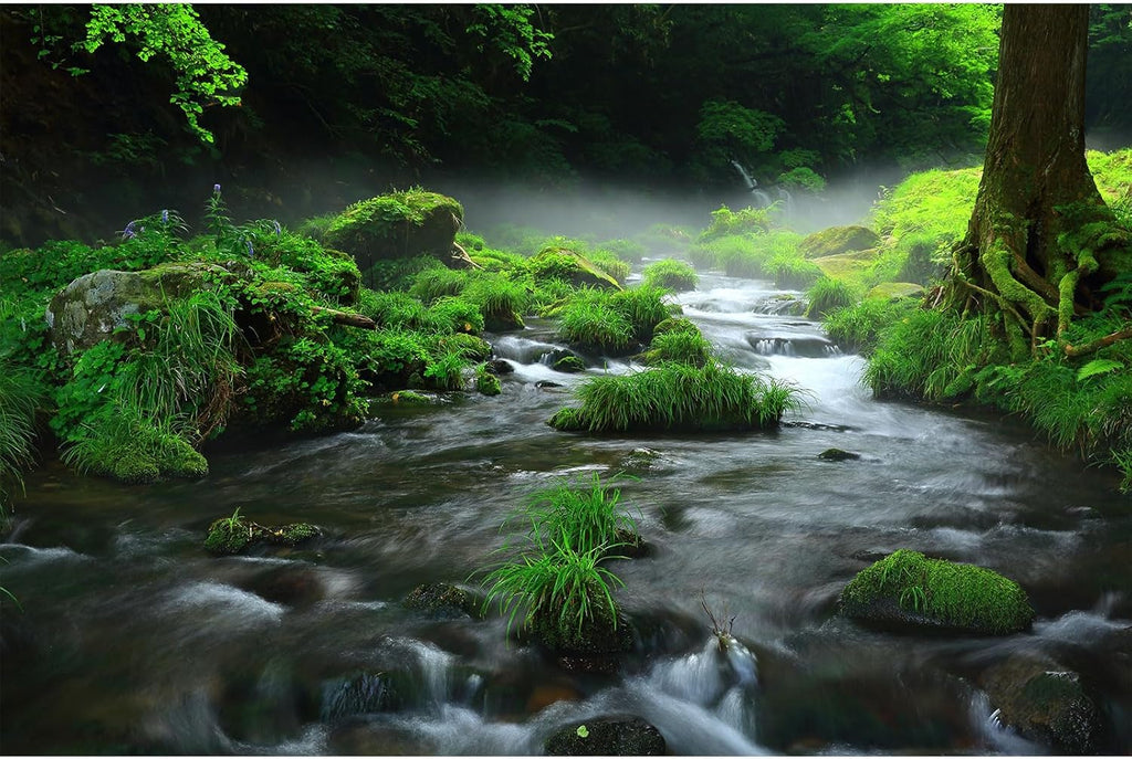 Stream Aquarium Background Aquatic Water Plants Rock Fish Tank Background Lush Green Forest Trees Terrarium Background Misty Foggy Stream Flowing Water Natural Landscape Aquarium Backdrops 72x24in