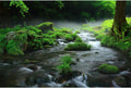 Stream Aquarium Background Aquatic Water Plants Rock Fish Tank Background Lush Green Forest Trees Terrarium Background Misty Foggy Stream Flowing Water Natural Landscape Aquarium Backdrops 30x12in