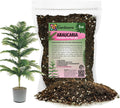 GARDENERA Premium Araucaria Potting Soil Mix - Perfect Balance of Nutrients, Drainage, and Aeration for Healthy Araucaria Trees - 5 Quart