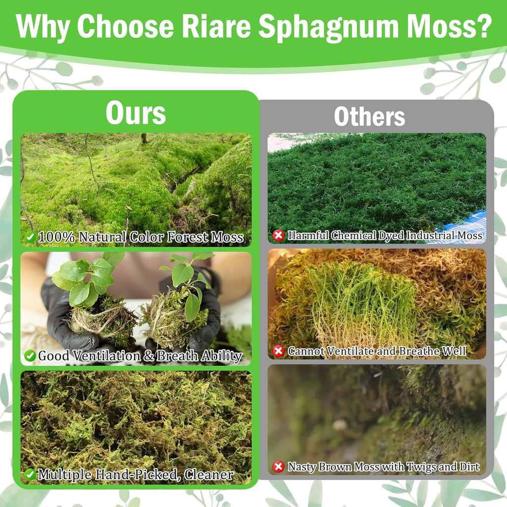 Riare 7OZ Premium Sphagnum Moss for Plants- 10QT Natural Dried Plant Moss for Potted Plants, Orchid Moss for Repotting, Soft Green Decorative Moss for Succulents, Reptiles & DIY Crafts