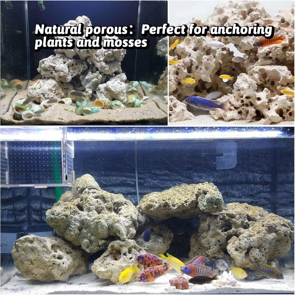 Hamiledyi Aquarium Holey Rock Stone White Coral Ornament Sea Base Rocks for Aquarium Aquascaping Natural Limestone Decor for Fish Tank Aquatic Shrimp Pet Reptile Habitat (Random Size and Quantity)