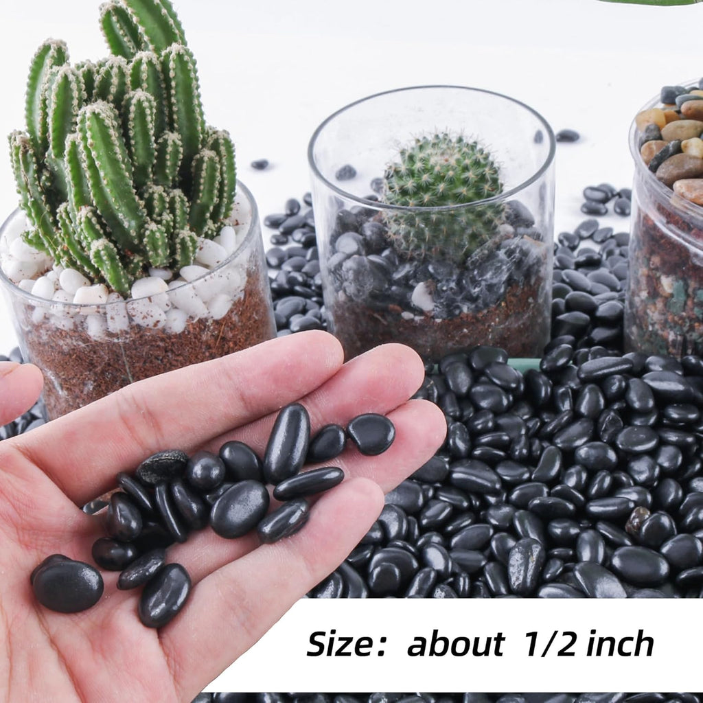 18lb 1/4" Small Pebbles Black for Plants,Potting,Succulents Aquarium Fish Tank Vases Decorative Garden Polished Gravel Rocks Stones