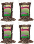 Gardenera Professional Carnivorous Plant Soil - Ready to Use for Venus Flytraps, Sundews, Pitcher Plants, Butterworts | Peat Moss, Coco Coir, Perlite - 20 Quart