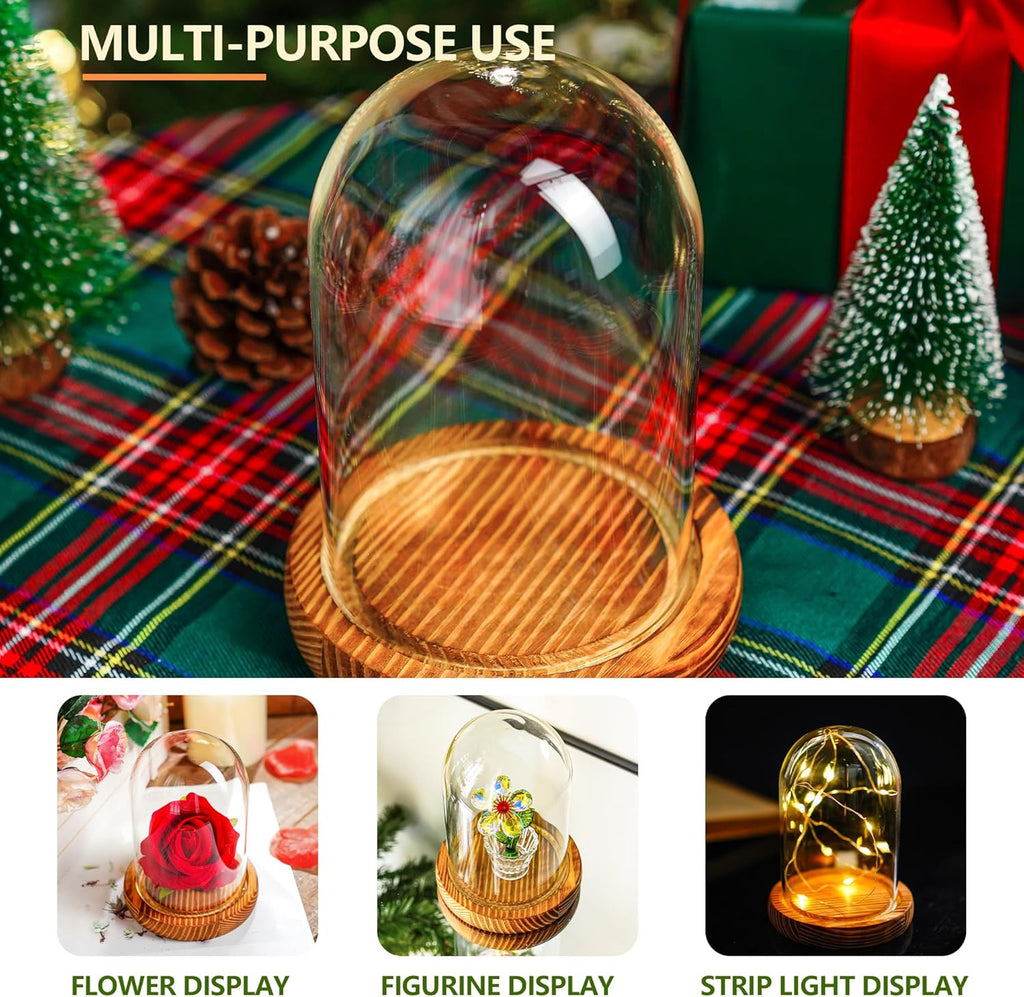 ZEERSHEE 4.1" x 3.2" Small Glass Display Cloche Dome with Solid Wood Base Empty for Plants Keepsakes Collectibles