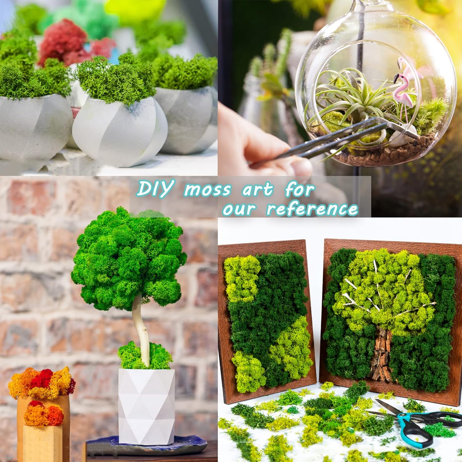 Amoueterno Preserved Moss 4 Color Reindeer Moss,Total 14OZ Each Color 3.5OZ, Natural Real Green Moss DIY Kit Moss Crafts Art Wall Decor Florist Decor Forest Green/Yellow Green/Leaves Green/Grass Gree