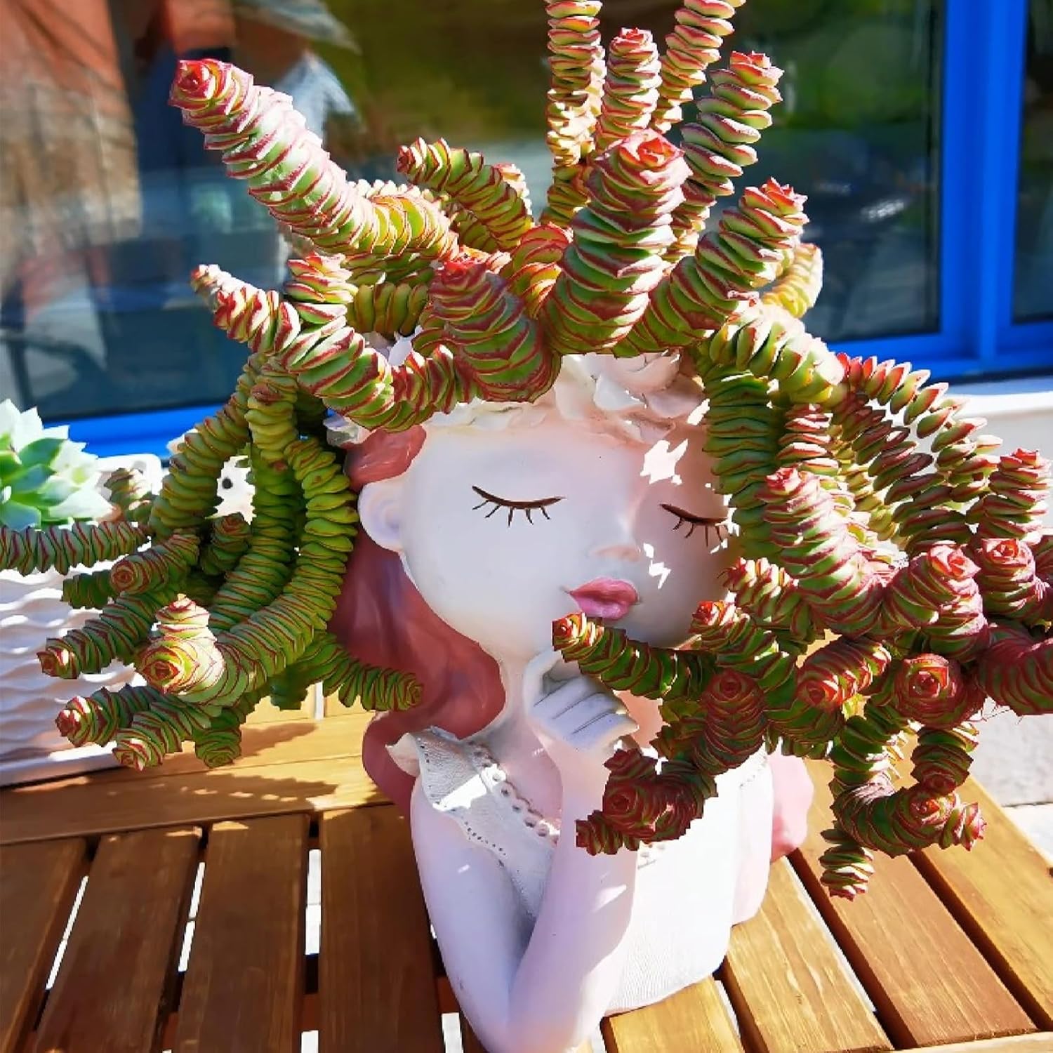 4" String of Buttons in Green Stripe Pot, Live Crassula 'Baby's Necklace' Trailing Succulent, Rare House Plant for Home Office Wedding Hanging Decoration, DIY Projects, Party Favor