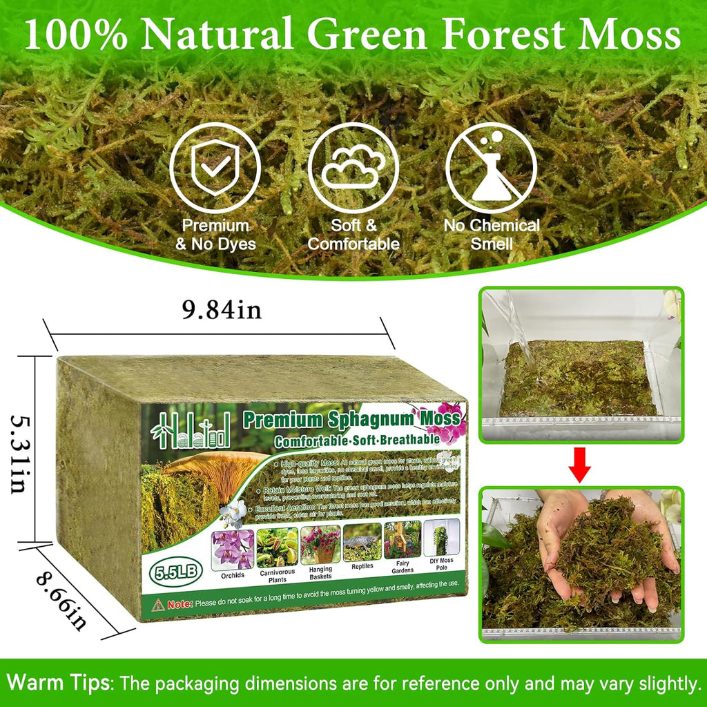 Halatool 5.5LB Green Forest Moss Natural Sphagnum Moss for Plants Fluffy Orchid Moss for Orchids Repotting Dried Plant Moss for Potted Plants Indoor & Outdoor