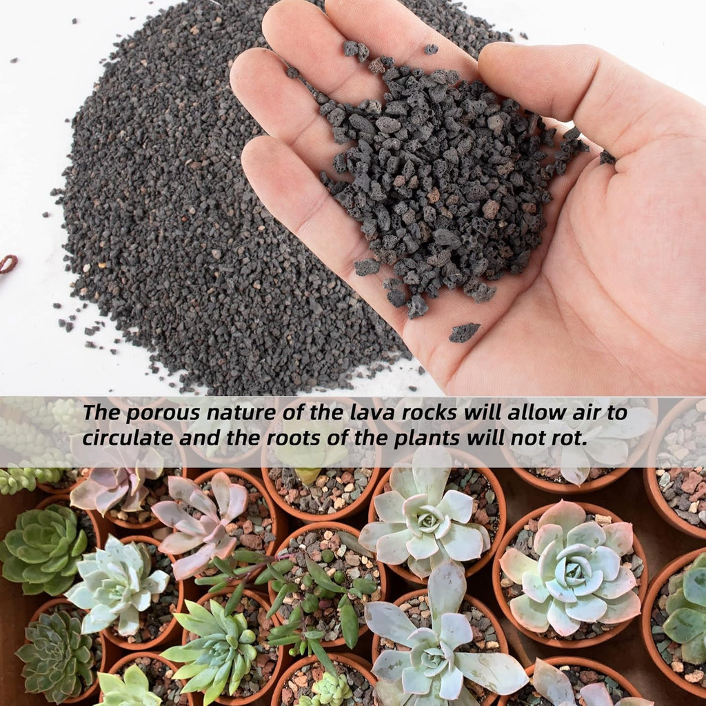 3lb Black Lava Rock for Plant, 1/8-1/4 inch Horticultural Volcanic Rock Soil for Decorative Landscaping Bonsai, Cacti, Succulents Plants Top Dressing for Release Excess Water