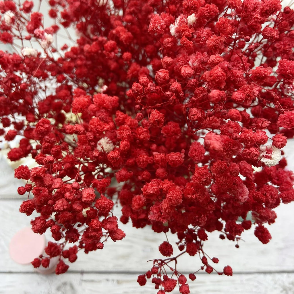 Birtlynn Preserved Baby's Breath, 100% Natrual Gypsophila Long Lasting Flowers for Vase Arrangements Home Decoration Photo Props Parties and Weddings, DIY Décor-Red