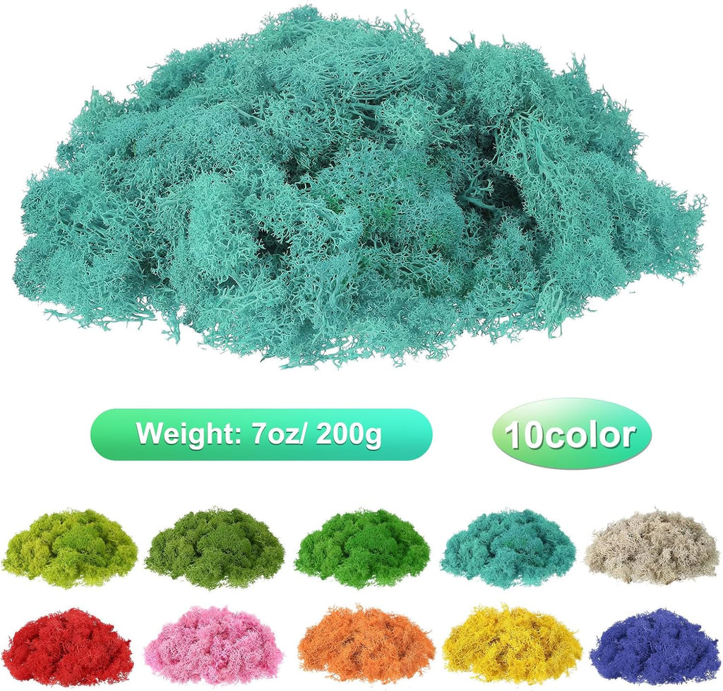 uxcell Preserved Reindeer Moss, 7oz Fake Moss for Crafts Artificial Dried Moss for Decoration Terrariums Potted Plants, Blue
