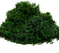 Byher 92926 Preserved Forest Moss, Fresh Green (8OZ)