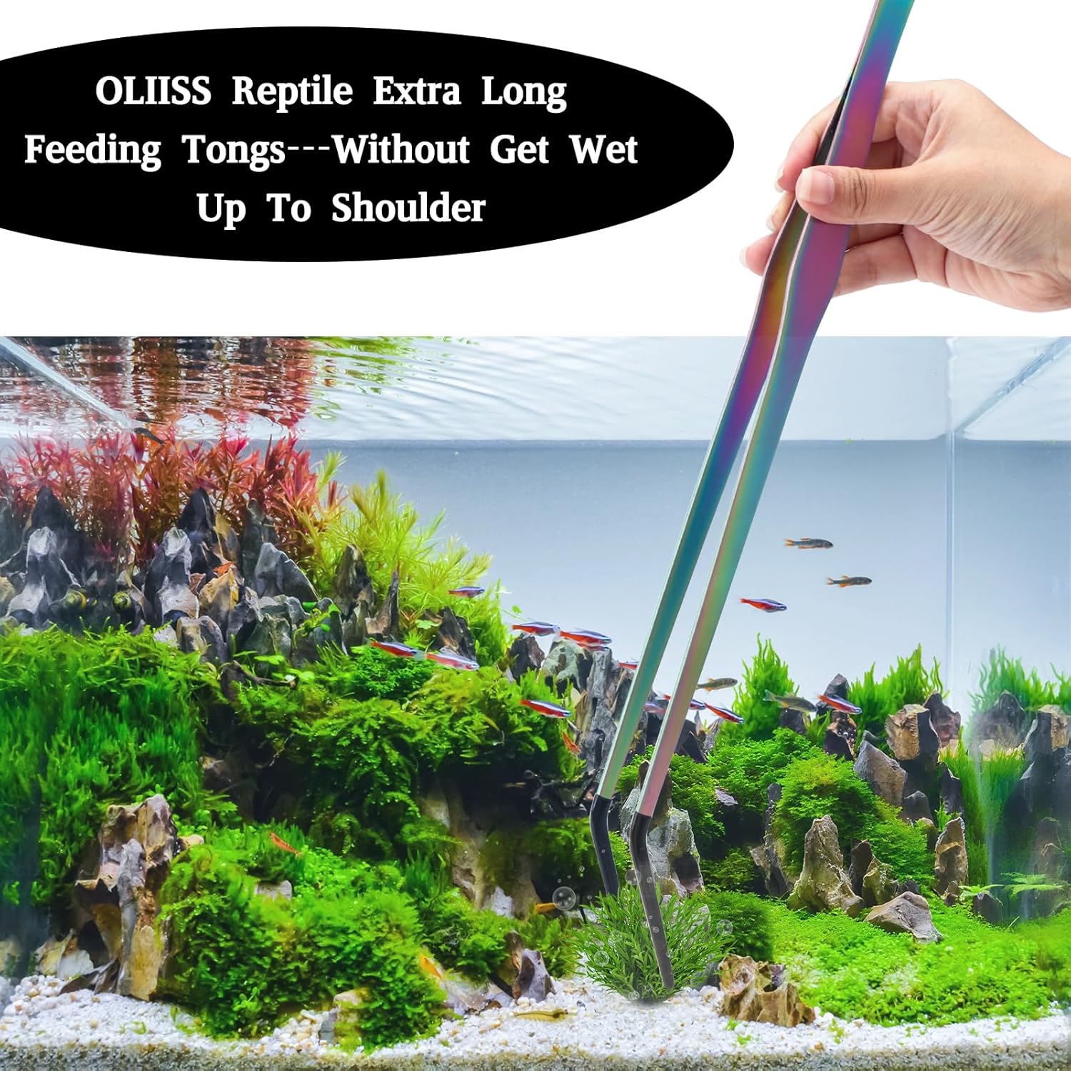 Texsens OLIISS Reptile Feeding Tongs with Rubber Tip - 15" Extra Long Tweezers for Aquariums & Crafts - Stainless Steel Feeder Tools for Bearded Dragons & Lizards - Terrarium Tank Supplies - 2 Pack