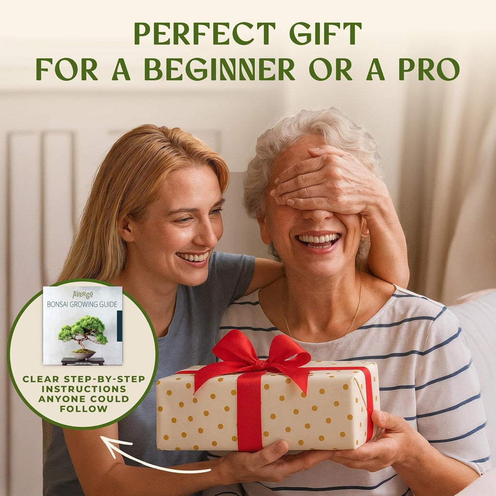 AVERGO Bonsai Tree Kit for Beginners – 5X Unique Japanese Bonzai Trees | Complete Indoor Bonsai Starter Kit for Growing Bonsai Plants with Tools & Planters – DIY Gardening Gifts for Women & Men