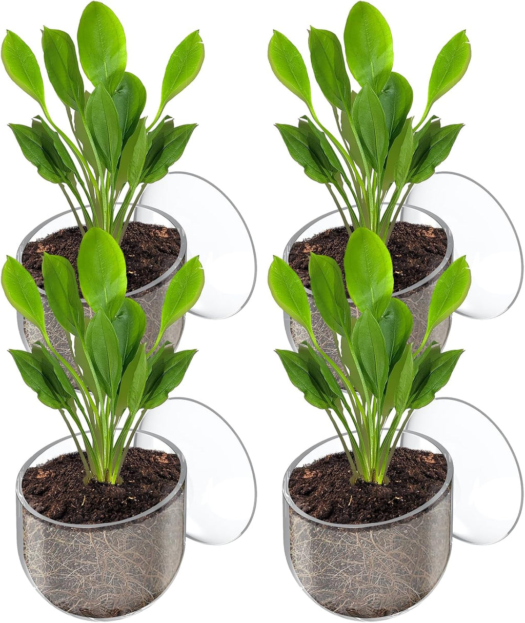Pawfly Aquarium Plant Holder with Suction Cup, Clear Plastic Fish Tank Planting Holder, Fish Tank Plant Pot for Aquascape Decoration, Aquarium Planter Cup, 4 Pcs.