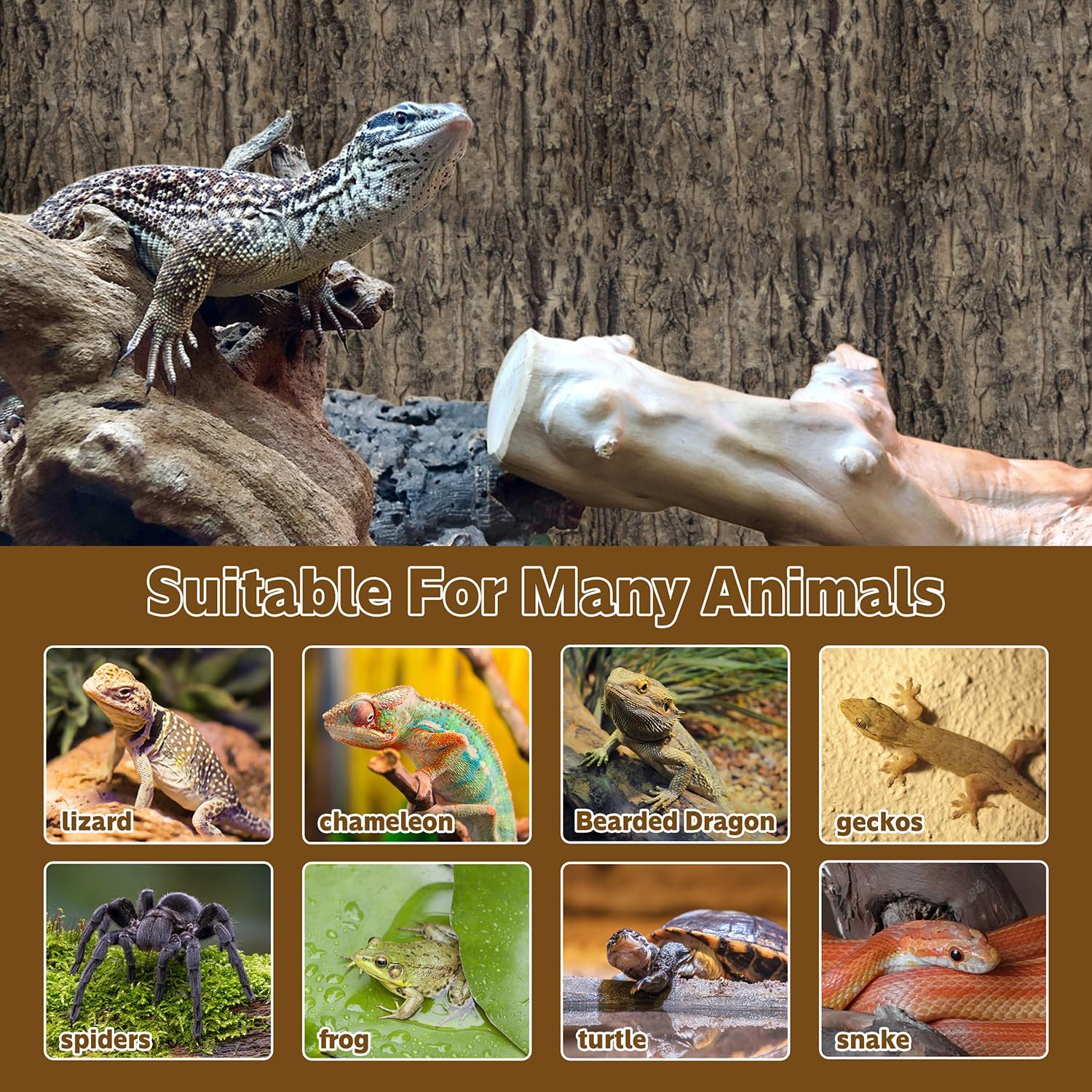 2PCS Cork Terrarium Background 9.84x11.8in Natural Cork Large Bark Backdrop Reptile Climbing Mat Habitat Decor for Spider Lizard Chamelon Turtle Beared Dragon