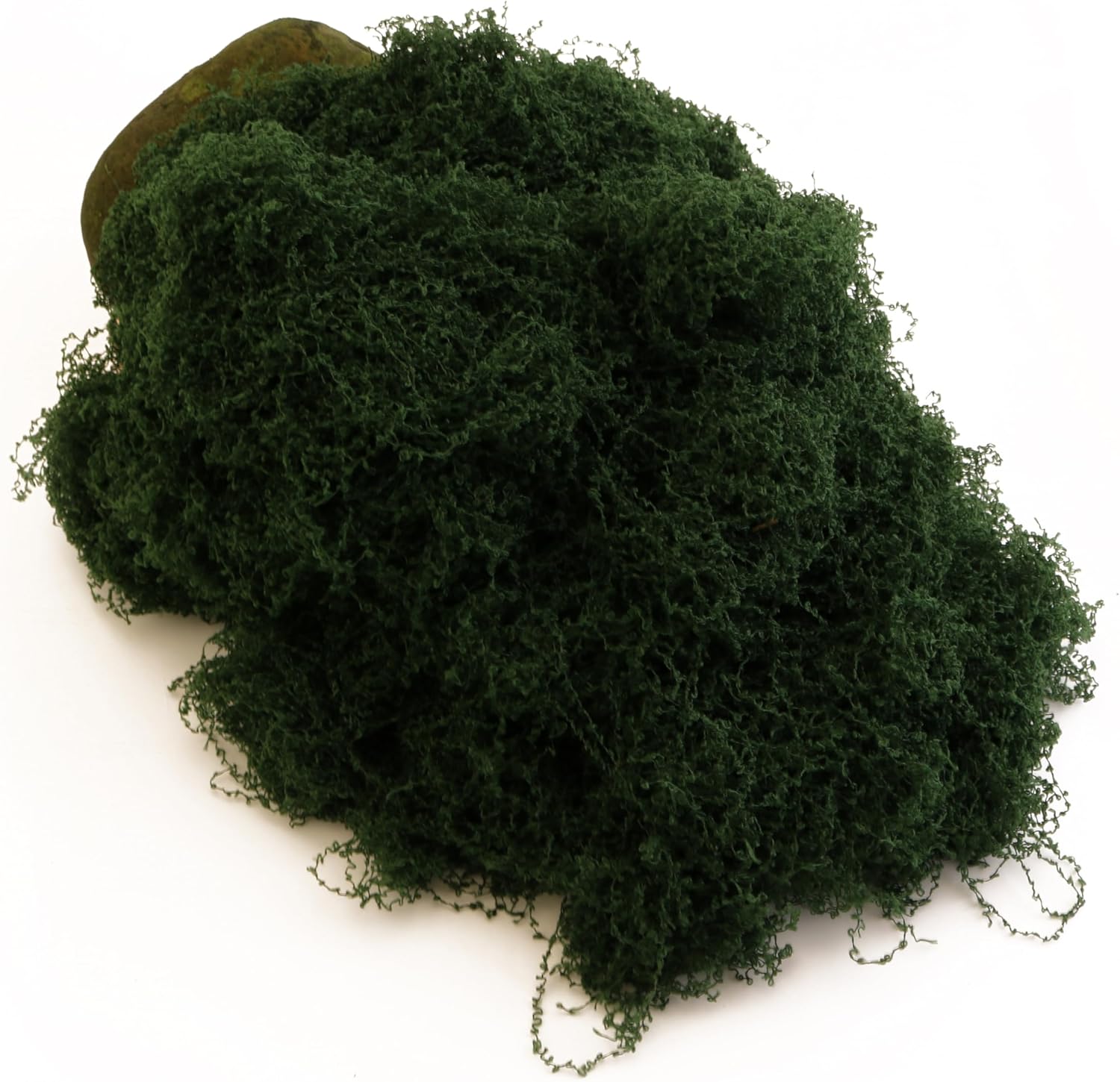 Caiyjhao Artificial Moss, Colored Filiform Artificial Grass, Used for Landscape Production, Mural Art, Easter, Artificial Green Plant Decoration, Any DIY Crafts (Jungle Green 3.5oz)