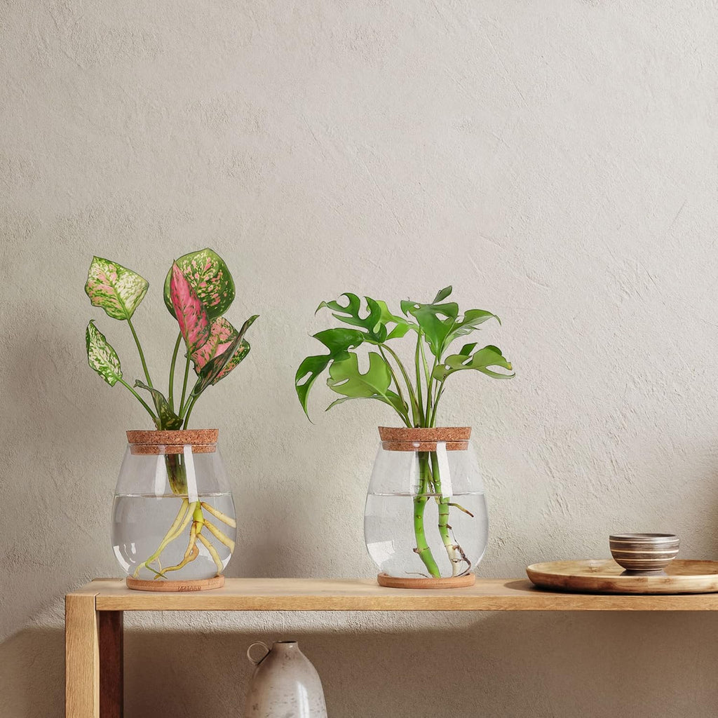 2Pcs Propagation Vases for Plants, Well-Made Plant Terrarium, Hydroponic Glass Container Vase Jars, Plant Lover Gifts for Women, Windowsill Kitchen Desktop Decorations