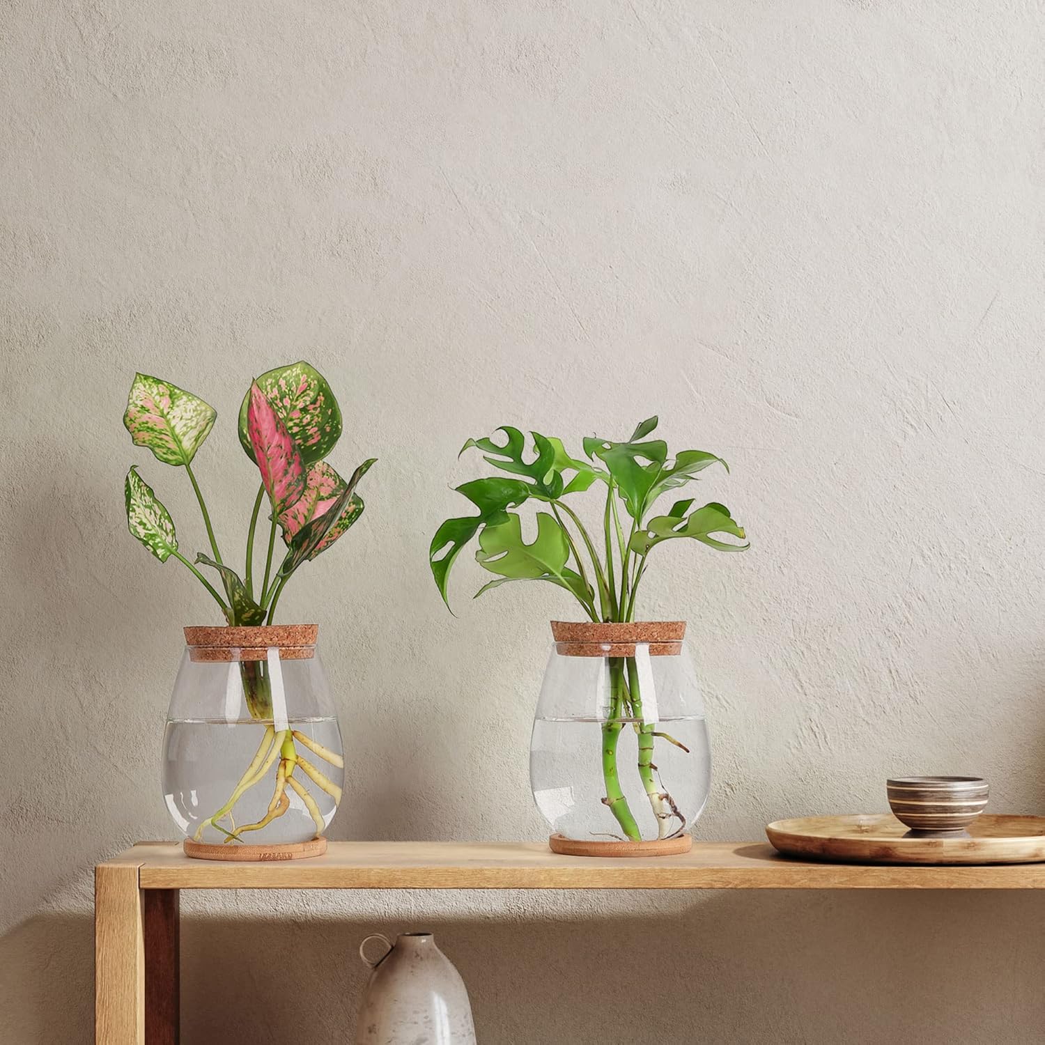 2Pcs Propagation Vases for Plants, Well-Made Plant Terrarium, Hydroponic Glass Container Vase Jars, Plant Lover Gifts for Women, Windowsill Kitchen Desktop Decorations