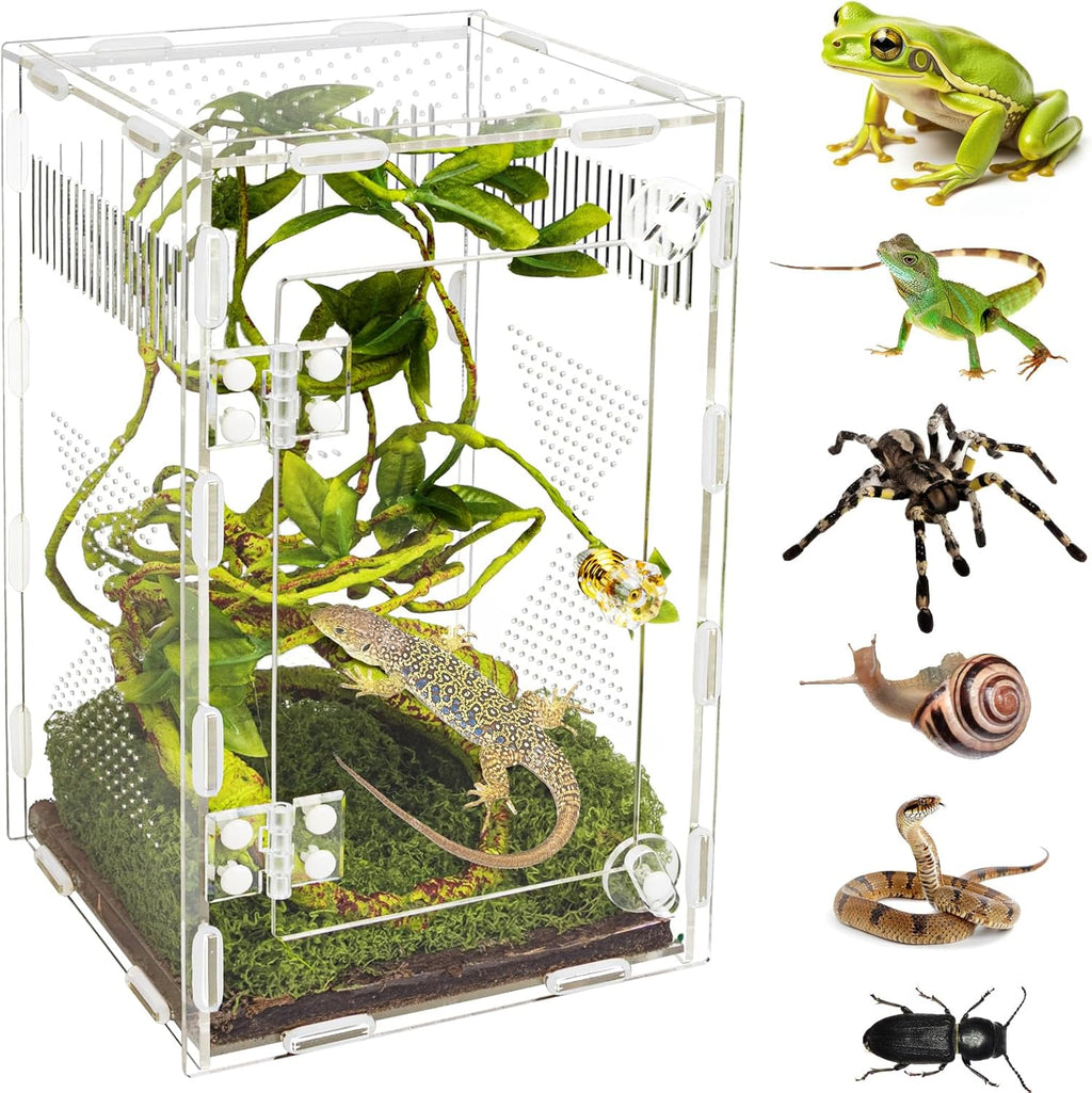 Acrylic Jumping Spider Habitat, Reptile Terrarium Easy Assembly, Bug Enclosure, Praying Mantis Habitat, Frog Enclosure, 9.8 * 5.9 * 5.9in