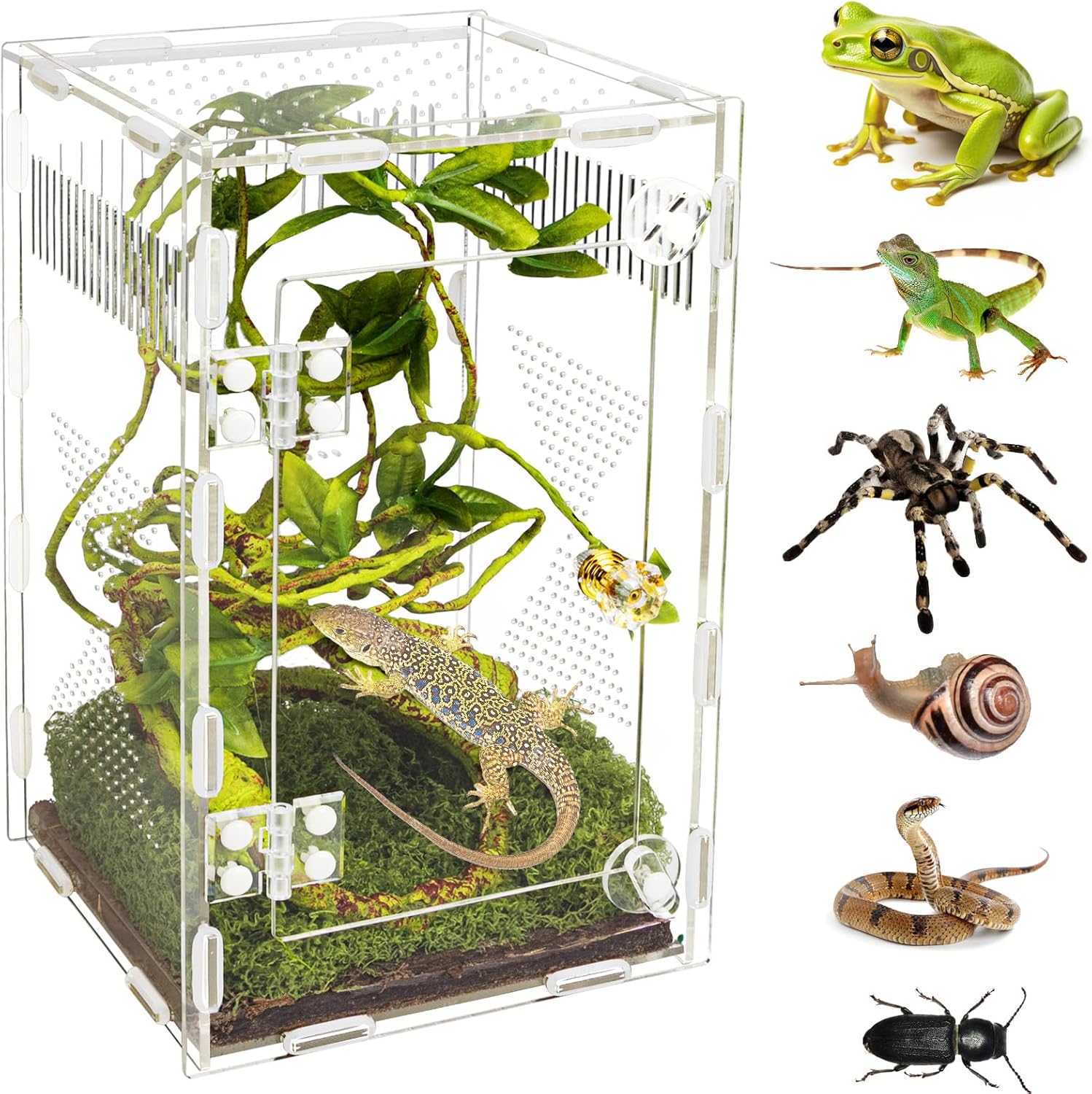 Acrylic Jumping Spider Habitat, Reptile Terrarium Easy Assembly, Bug Enclosure, Praying Mantis Habitat, Frog Enclosure, 9.8 * 5.9 * 5.9in
