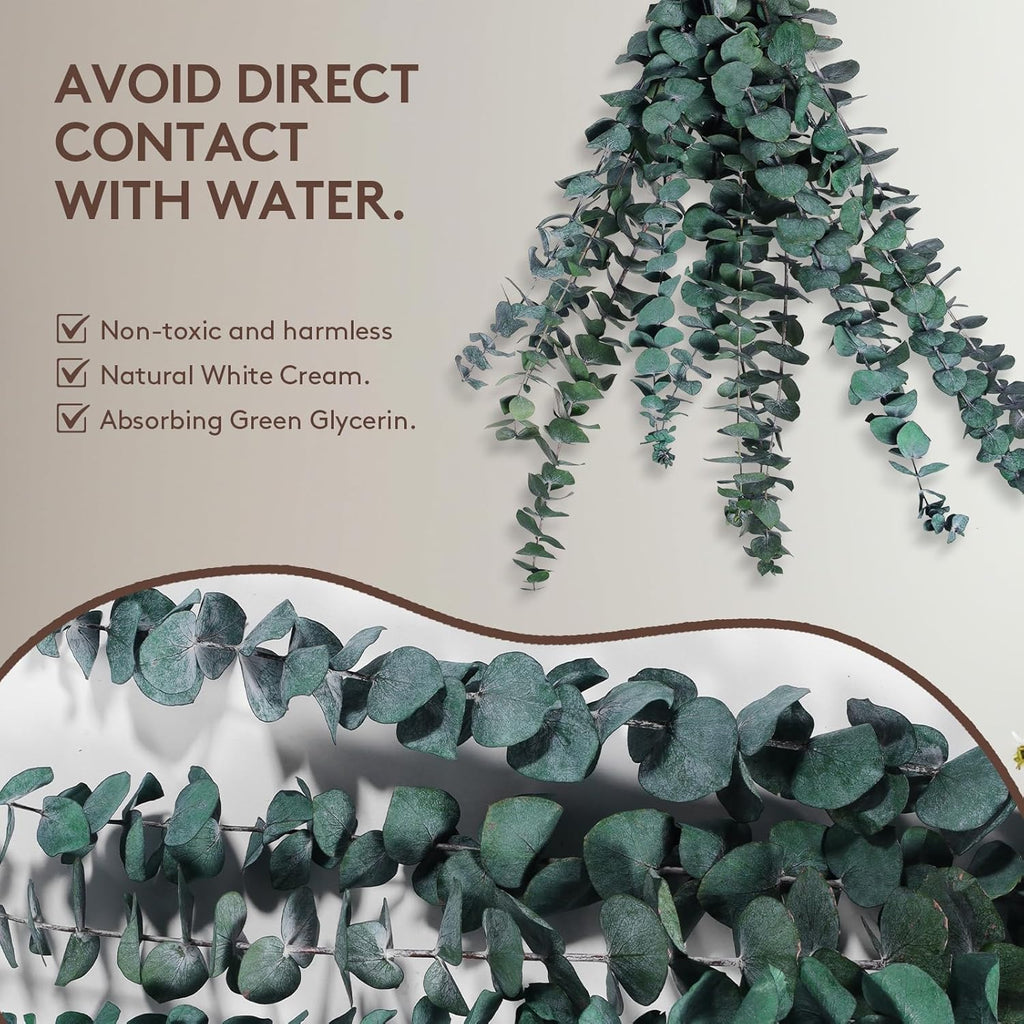 Dried Eucalyptus Decor – 20 Stems Dried Real Eucalyptus Preserved Greenery for Vase, Bathroom, Wedding Decor – Subtle Aroma, Rustic Boho Style