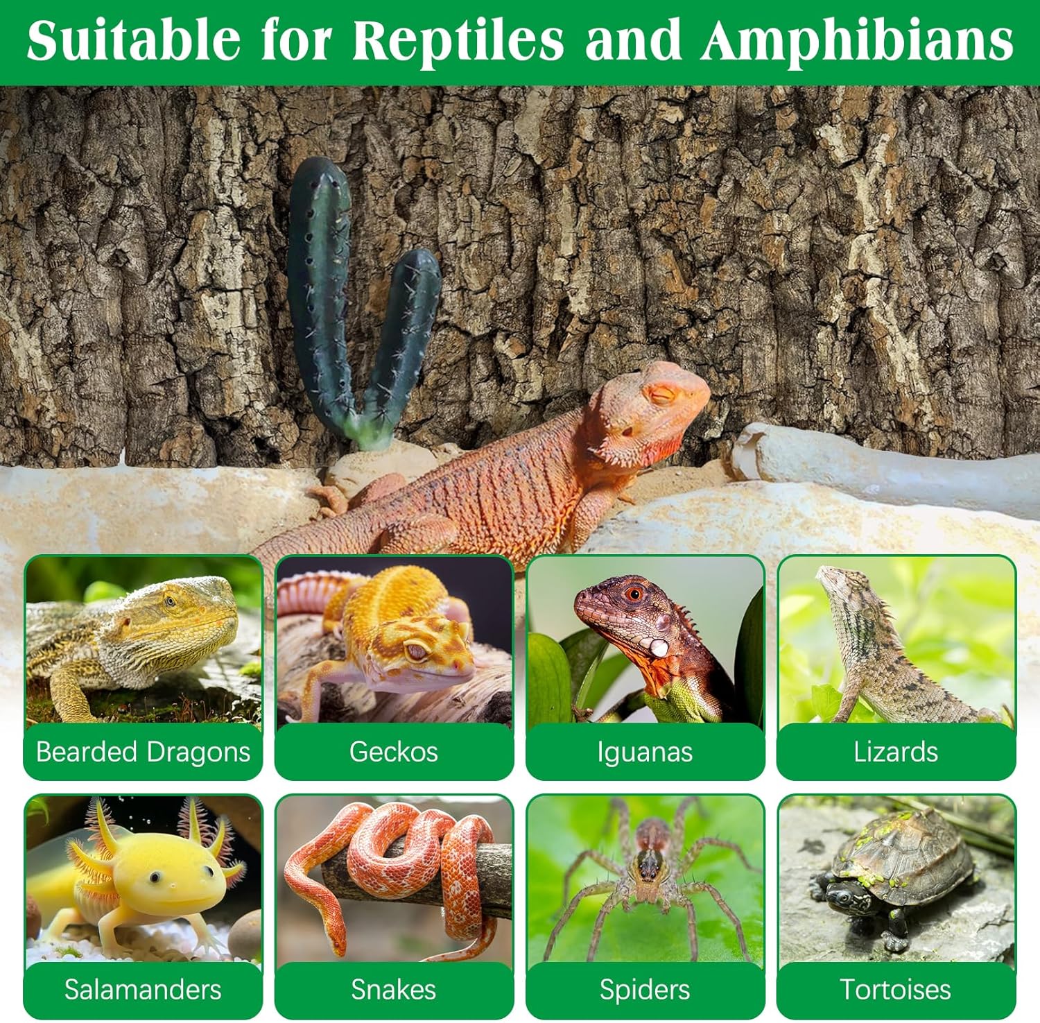 kathson 2PCS Cork Tile Background Bark 11.8”Lx7.9”W Terrarium Backdrop Wall Decor Natural Reptile Climbing Mat Habitat Decor for Spider Gecko Lizard Chameleon Bearded Dragon Turtle Snake