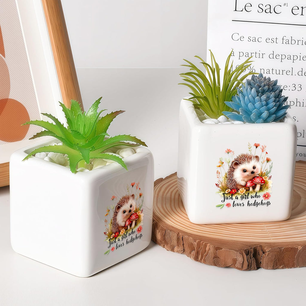 Hedgehog Succulent Planter Flower Plant Pot Small, Gifts for Women Teens Girls Kids, Hedgehog Lovers Themed Stuff Accessories Things Decor Merch, Home Office Table Desk Decoration!