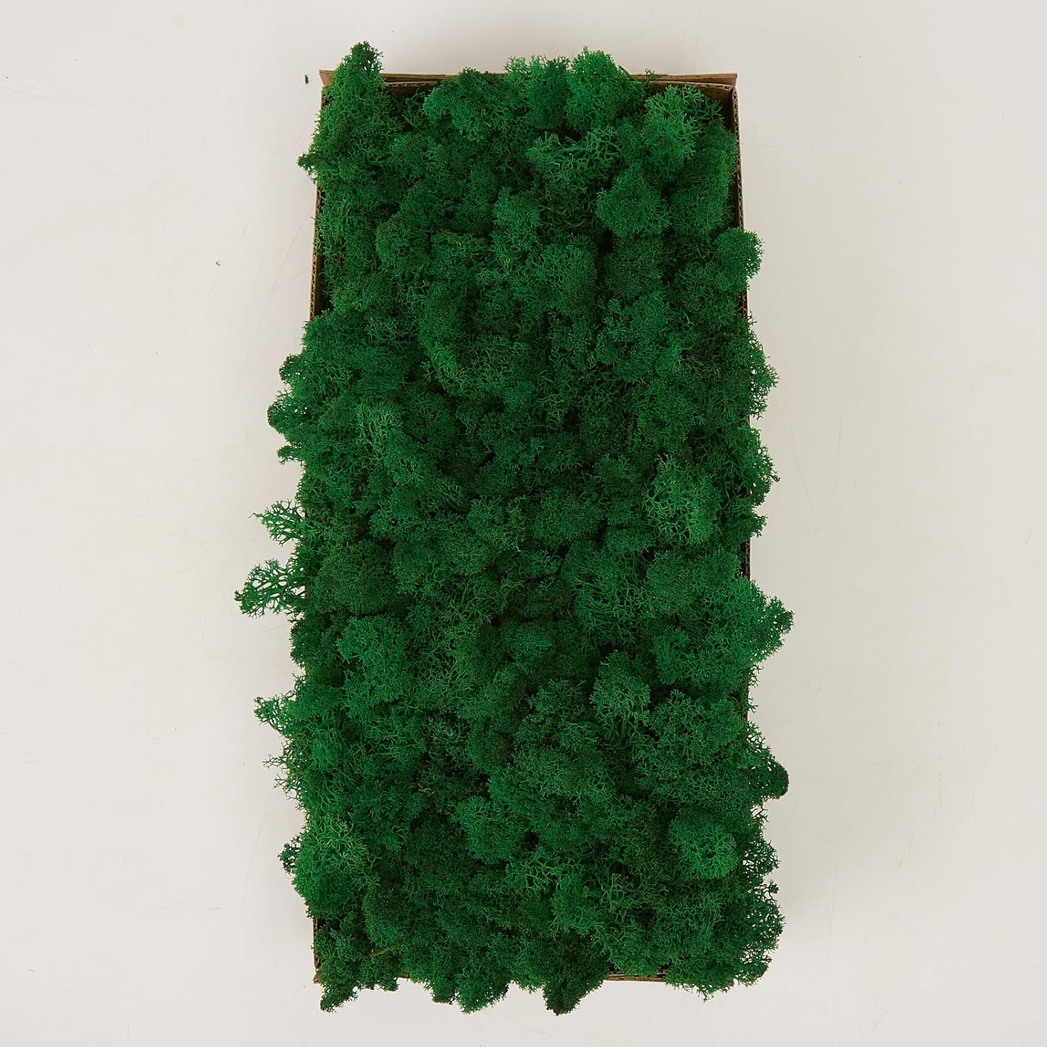 Preserved Reindeer Moss Natural Green DIY Kit Gardenning Art Wall Decor Florist Decor Easter Table Decor Wedding
