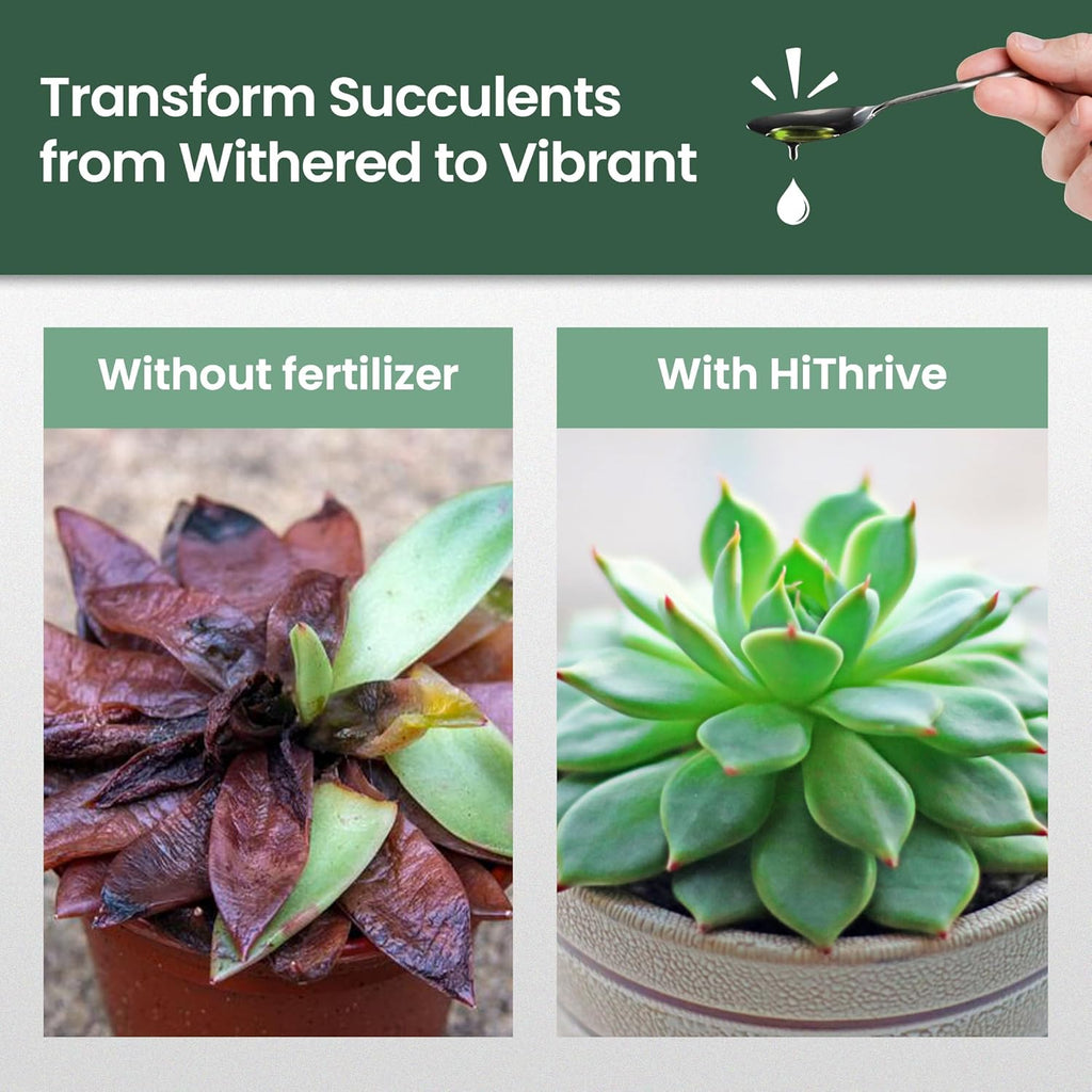 16oz Succulent Fertilizer - Makes 32 Gallons of Succulent Plant Food for Succulents Plants Live, Liquid Fertilizer for Succulents - Promotes Vibrant Leaves, Resilient Roots, and Plump Growth