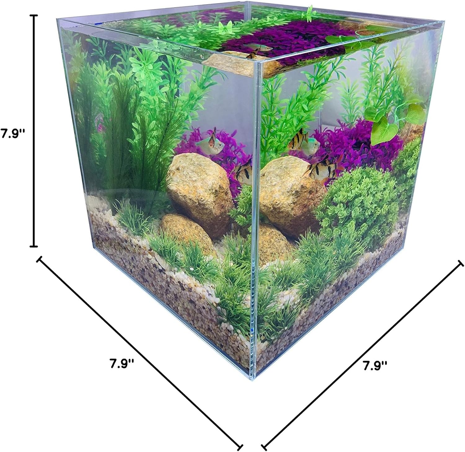 Rimless Low Iron 2.1 Gallon Glass Aquarium Tank 7.8" L × 7.8" W × 7.8" H / 20cm x 20cm x 20cm, 5mm Thickness Standard Jointed