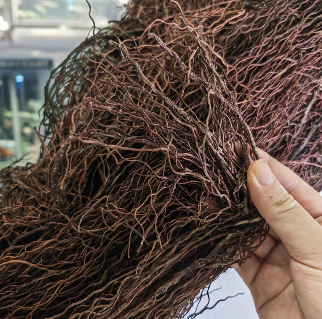 160g Aquarium Driftwood Roots - Bushy Tank Wood for aquascaping - Perfect for Fry, Shrimp or Terrarium,Natural Wood Roots for Aquarium aquascaping