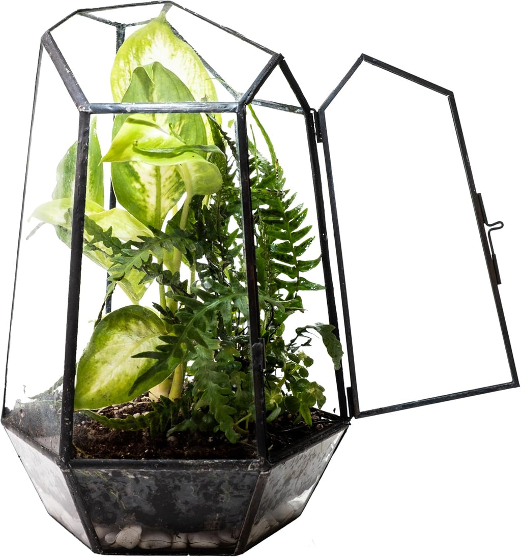 KraftStories Clear Glass Terrarium with Door | Geometric Design Container | Ideal Planter for Moss and Indoor Plants | Maintains Humidity | Self-Sustaining Indoor Garden Ecosystem (Only Terrarium)