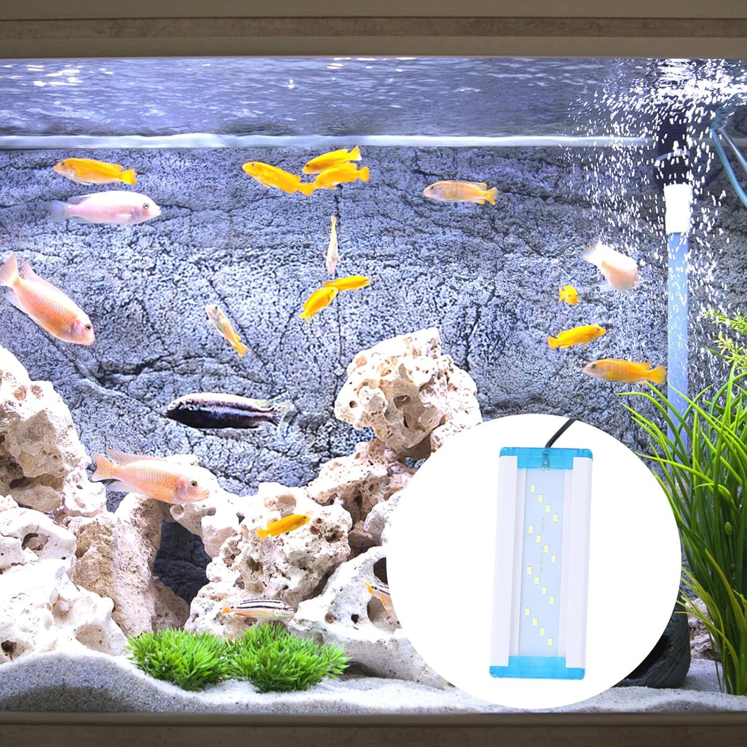 VANZACK Ultra-Thin Fish Tank LED Lamp with Pure White Light Aquarium Light with Metal Bracket Aquarium Frame Lamp for Aquatic Plant Growth Easy Installation and Heat Dissipation US Plug