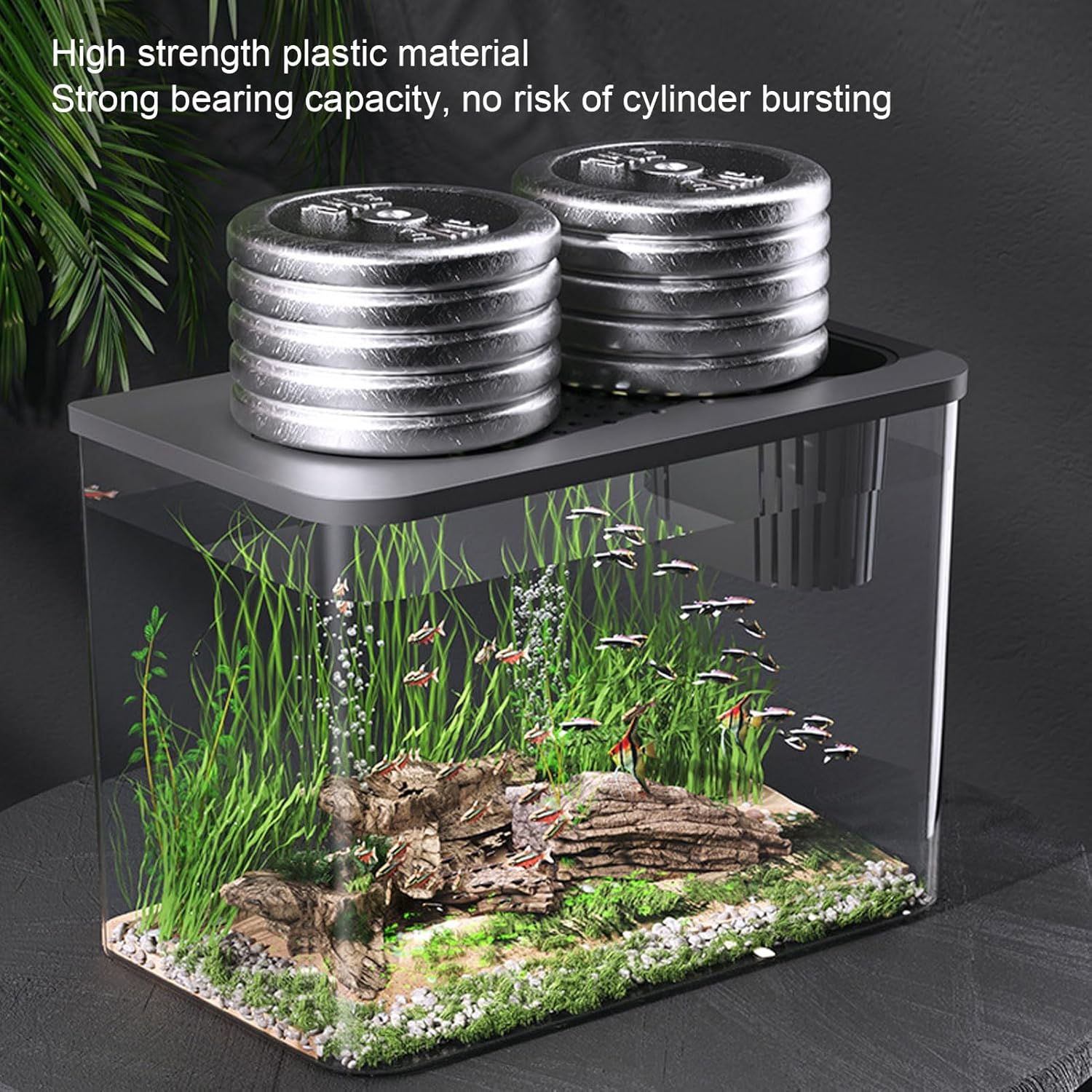 Small Fish Tank Plastic Clear Ecological Desktop Aquarium Miniature Design Space Saving for Goldfish Shrimp Betta Fish Turtle Living Room Desktop 12.4 Inch (Black)