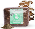 Mycelium Masters Mix Substrate | 6LB Sterilized Blend of Oak & Soy | Pre-Hydrated Hardwood Substrate for Wood-Loving Mushrooms - Shiitake, Lion's Mane, Oyster | Ideal for Indoor Monotub & Bag Grows