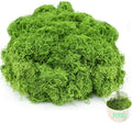Fake Green Moss for Crafts.17.6OZ Decor Artificial Faux Moss for Potted Plants Indoor. Moss Preserved for DIY Decorative, Table, Centerpieces Decor, Fairy, Garden, Floral, Wedding
