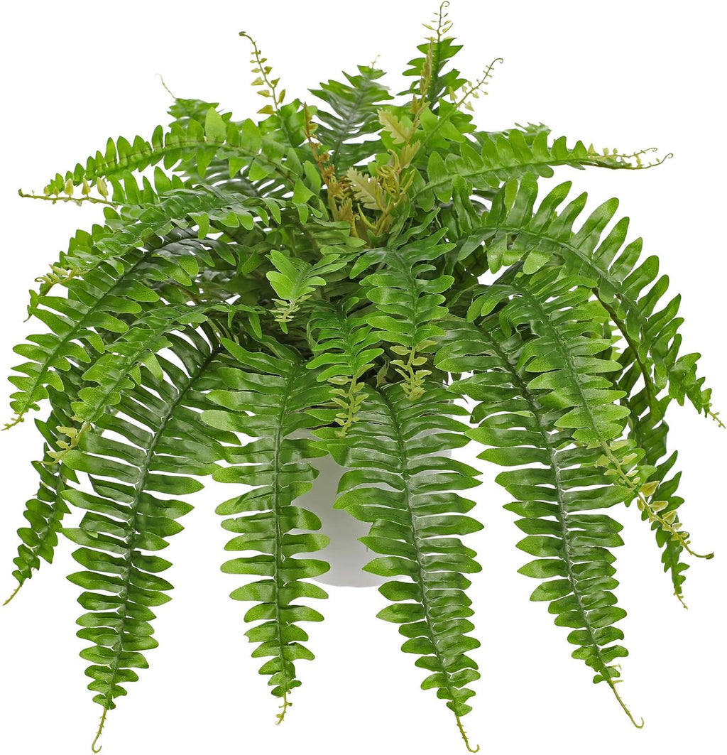 Hollyone Artificial Fern Plants in White Pot 25.5" Medium Artificial Boston Fern 31 Leaves for Outdoors & Indoor Faux Potted Plants Fake Ferns Bush Plant Patio Garden Farmhouse Porch Home Decor Green
