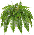 Hollyone Artificial Fern Plants in White Pot 25.5" Medium Artificial Boston Fern 31 Leaves for Outdoors & Indoor Faux Potted Plants Fake Ferns Bush Plant Patio Garden Farmhouse Porch Home Decor Green