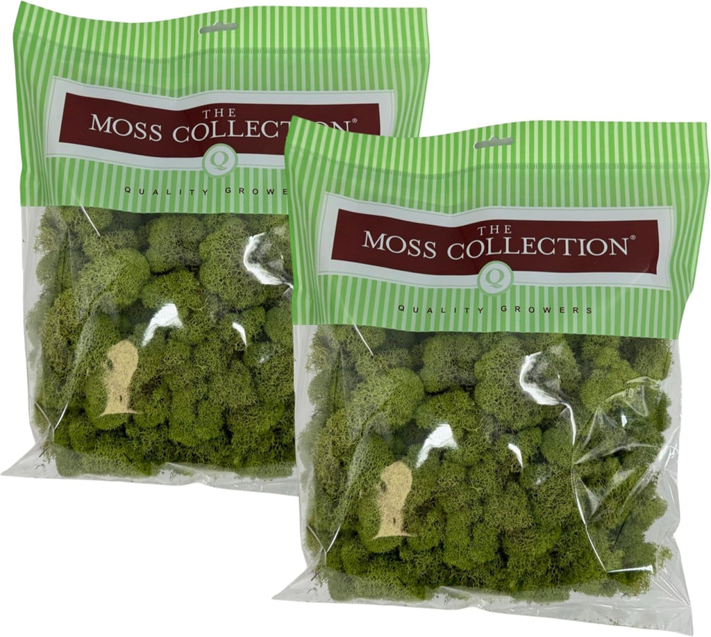 Quality Growers - Preserved Reindeer Moss - Moss for Crafts, Home Decor, Art, Design & DIY Projects - Non-Toxic - USA Made (Spring Green, Medium, 2-Pack)