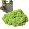 Fake Green Moss 7.05 oz Artificial Moss for Crafts Potted Plants Indoor, Faux Moss Decor for DIY Decorative Table Centerpieces, Glass Containers, Party Wedding & Fairy Garden Floral (Light Green)
