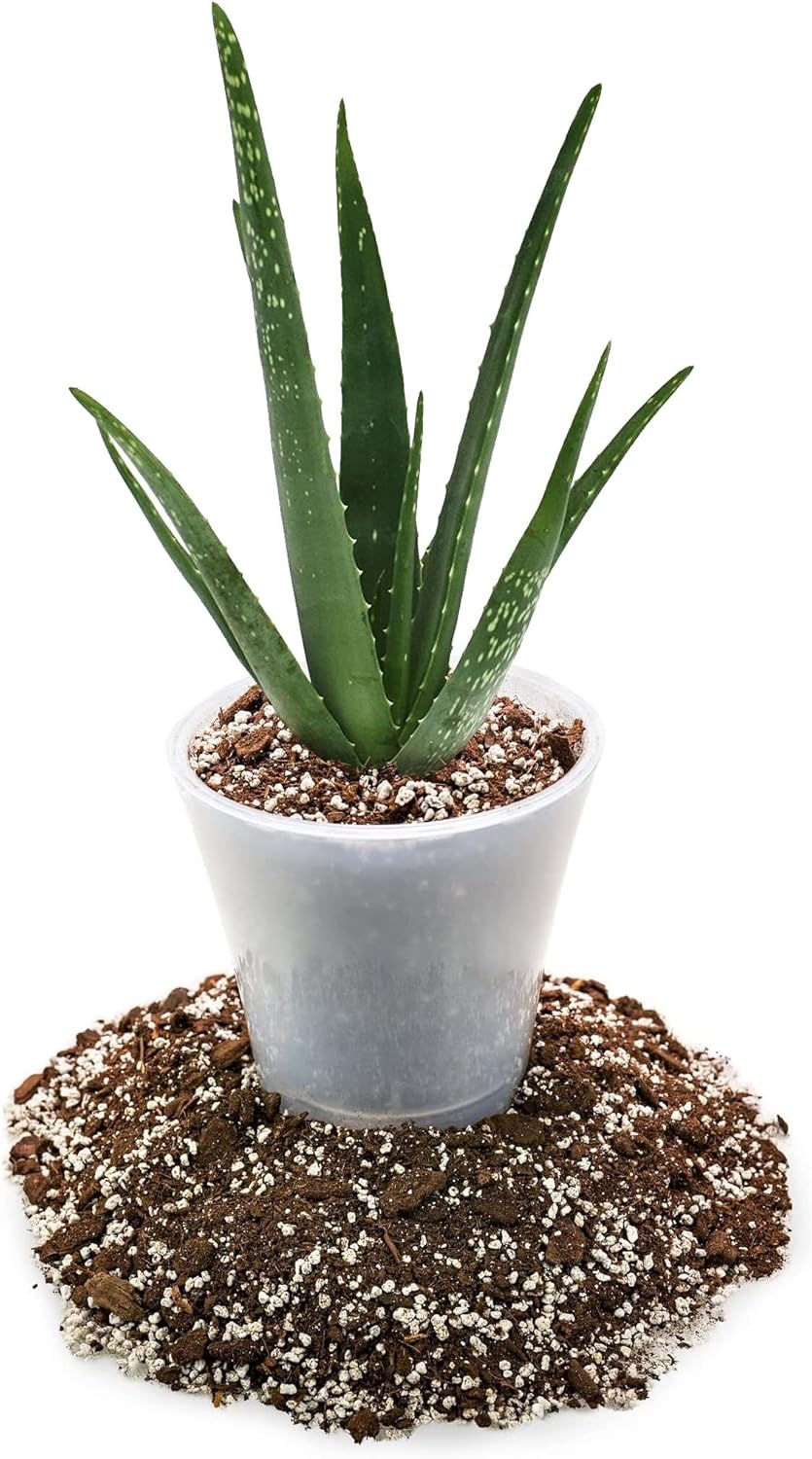 GARDENERA Premium Aloe Vera Potting Soil Mix - (1 Quart Bag)