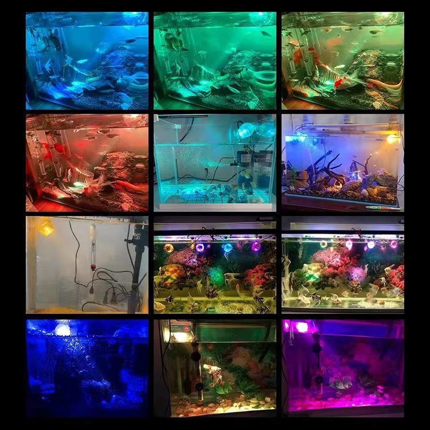 GLOGLOW Aquarium LED Light, Submersible Color Changing Fish Tank Light USB Night Spot Lamp for Freshwater Saltwater Tanks Reef Fish Decoration(Colorful)