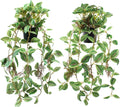 2 Pcs Artificial Hanging Plants Realistic Watermelon Texture Faux Peperomia Leaves Fake Potting Vine Green Plants for Indoor Outdoor Home Garden Decor