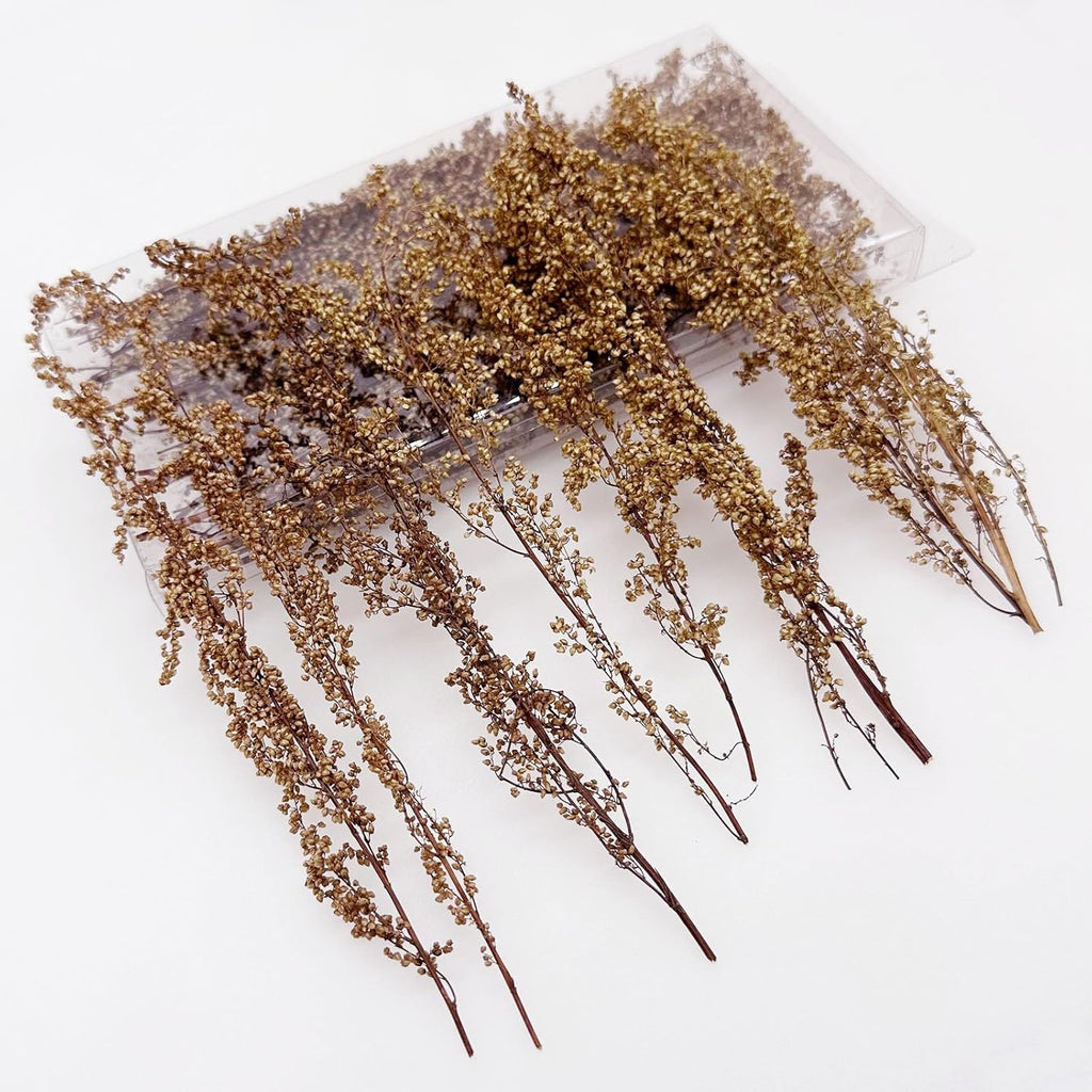 Woohome Miniature Shrubs Model Bushes Long Shrub Vegetation Groups Static Grass Tuft Model Lowland Shrubs Tuft for DIY Model Train Landscape Railroad Scenery, Beige