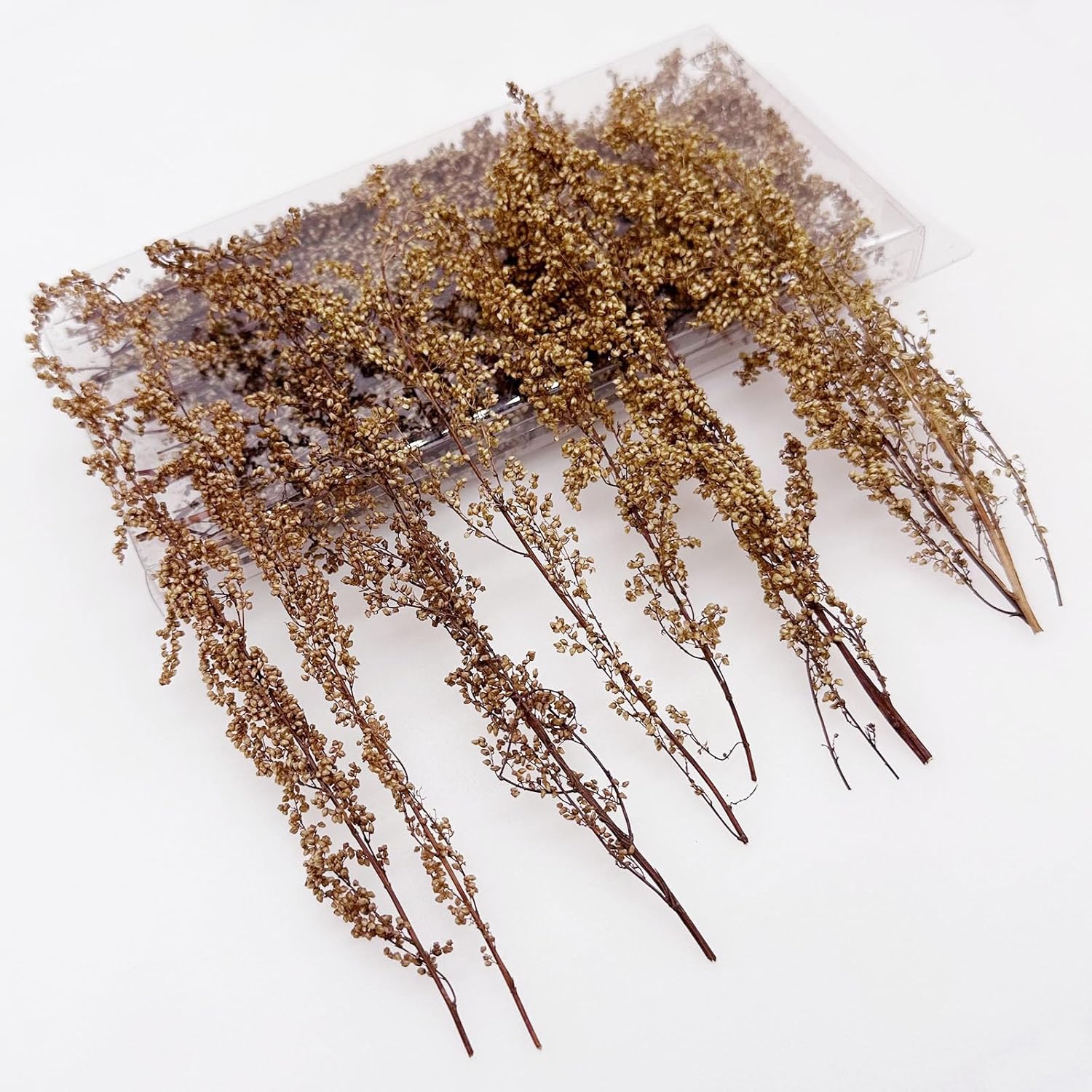 Woohome Miniature Shrubs Model Bushes Long Shrub Vegetation Groups Static Grass Tuft Model Lowland Shrubs Tuft for DIY Model Train Landscape Railroad Scenery, Beige