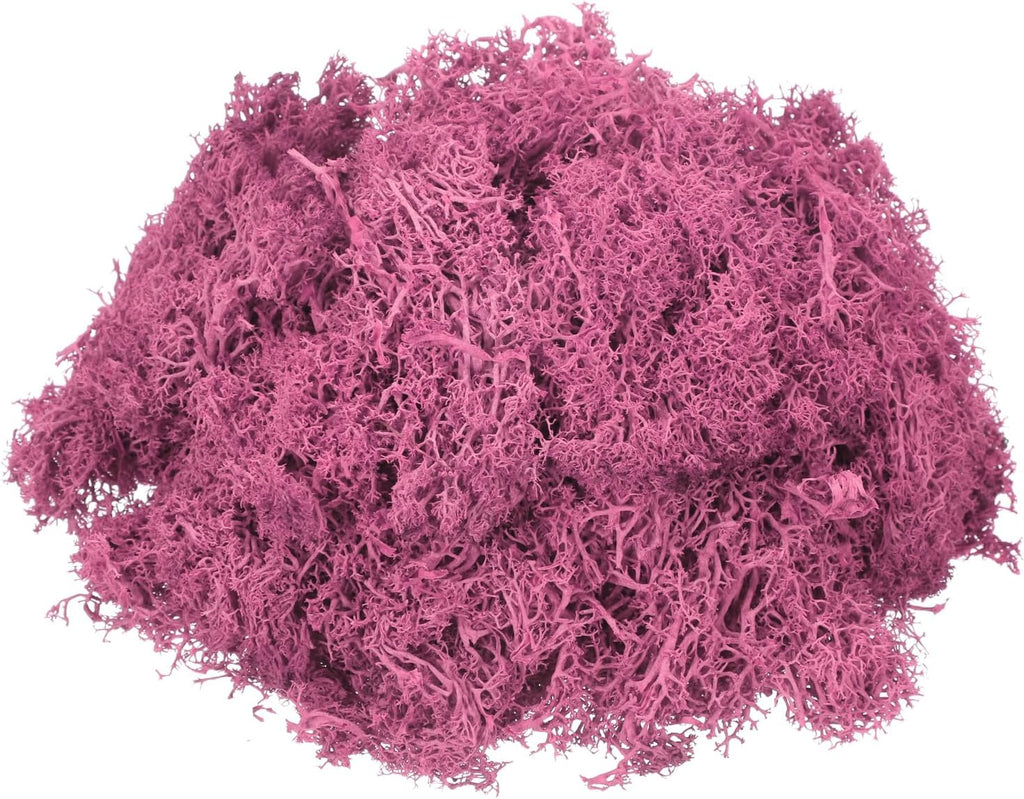 MECCANIXITY 4.6oz Preserved Reindeer Moss, Rose Pink Decorative Artificial Fake Moss for Potted Plants Indoor Crafts Lichen Centerpieces Decor