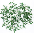 mizii 2 Strands Artificial Vines Garland 68" Fake Vine with Small Green Leaves Silk Rose Leaf Faux Hanging Plants Greenery Decorations for Bedroom Room Table Centerpieces Wedding Decor (Rose Leaves)