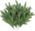 Hananona 100 Pcs Artificial Pine Branches Green Plants Pine Needles DIY Accessories for Garland Wreath Christmas and Home Garden Decor (100, Green)