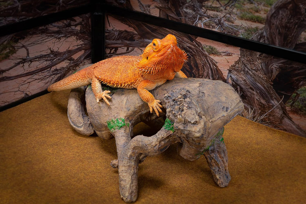 CAROLINACUSTOMCAGES Gnarled Large Root, Brown, Reptile Habitat Accessory